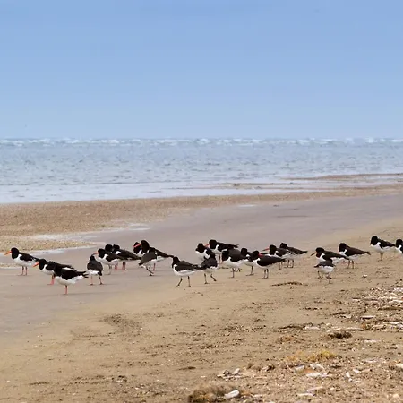 4 Person In Fano-by Traum * Fanø