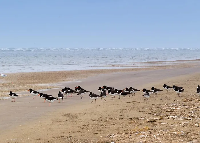 4 Person In Fano-by Traum * Fanø